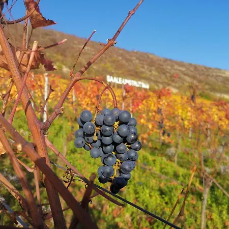 Saaletal Appartement